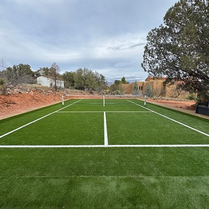 Backyard Pickleball Court & Putting Green
